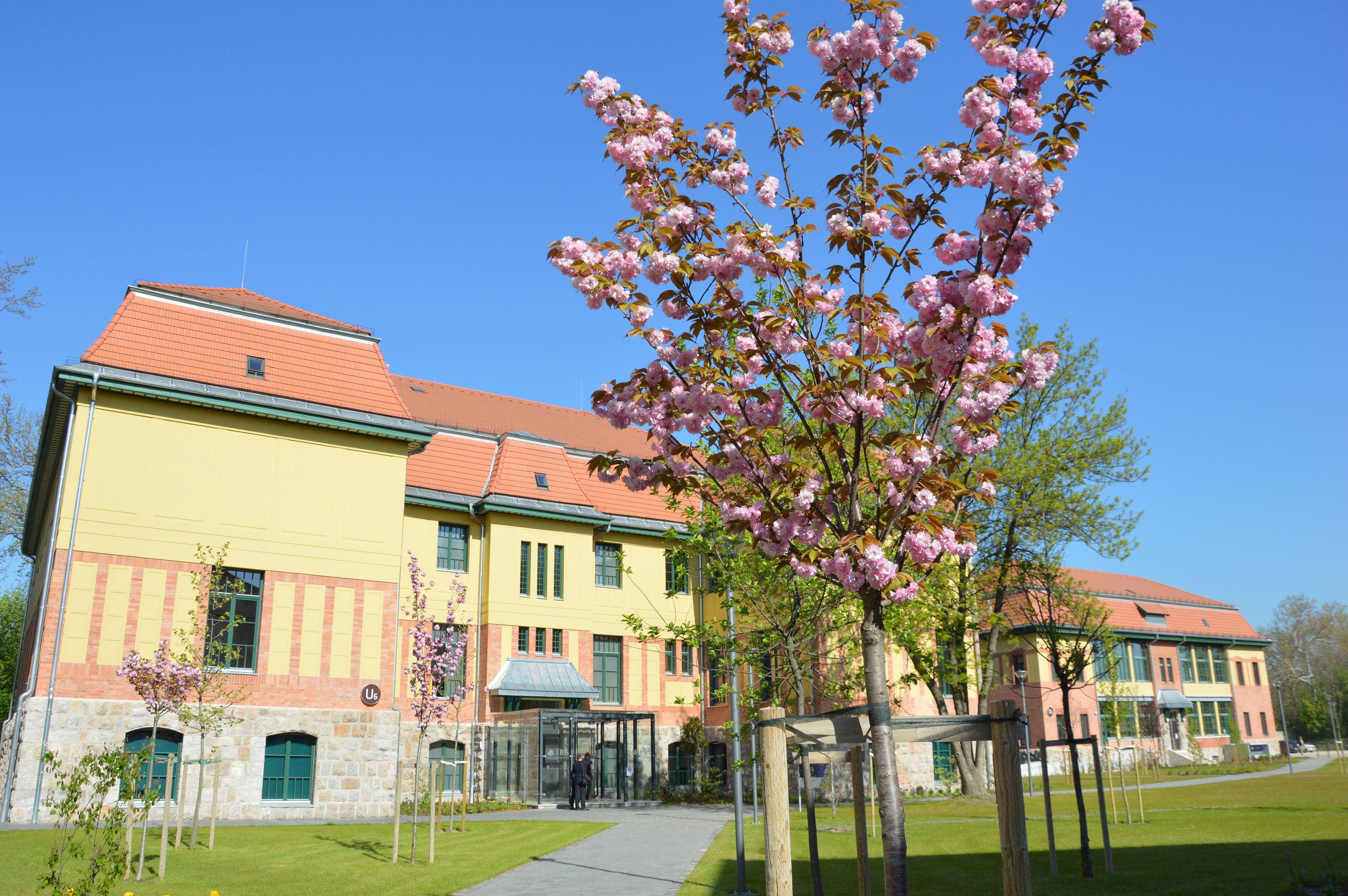 Spring on Campus